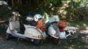 Vespa
